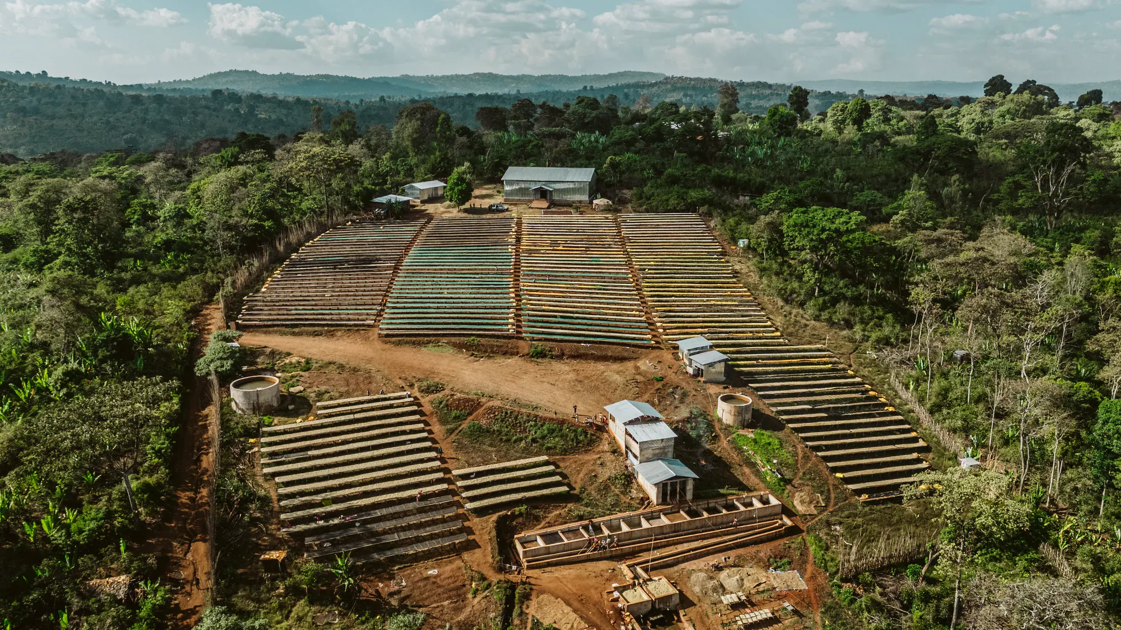 Wide aerial view of coffee drying infrastructure
