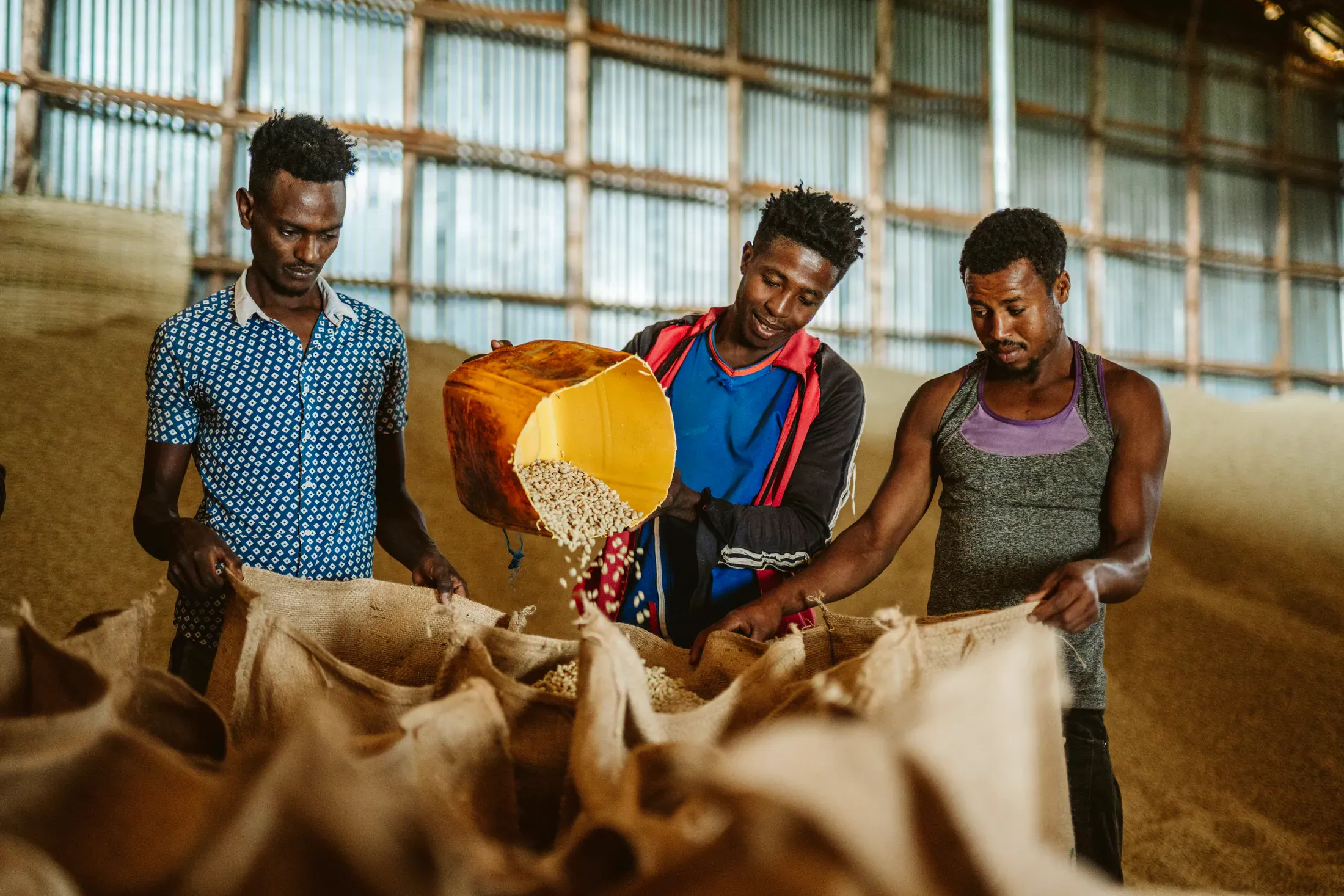 Coffee team preparing export bags