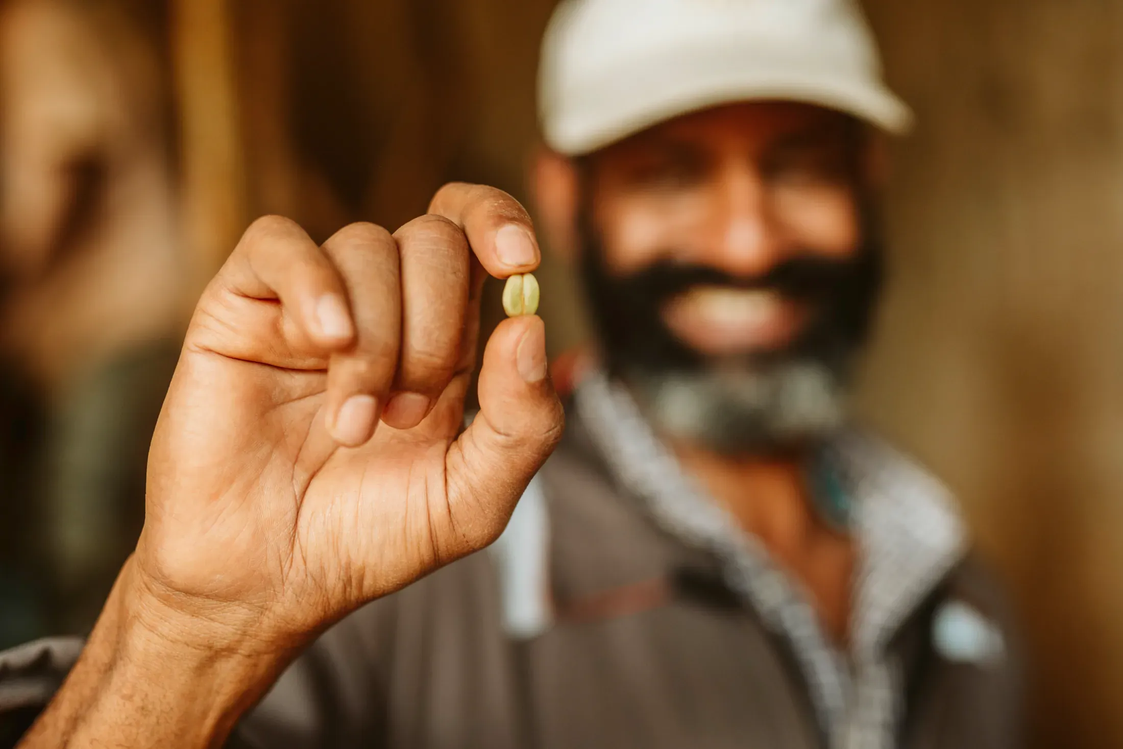 Coffee professional inspecting a green coffee bean
