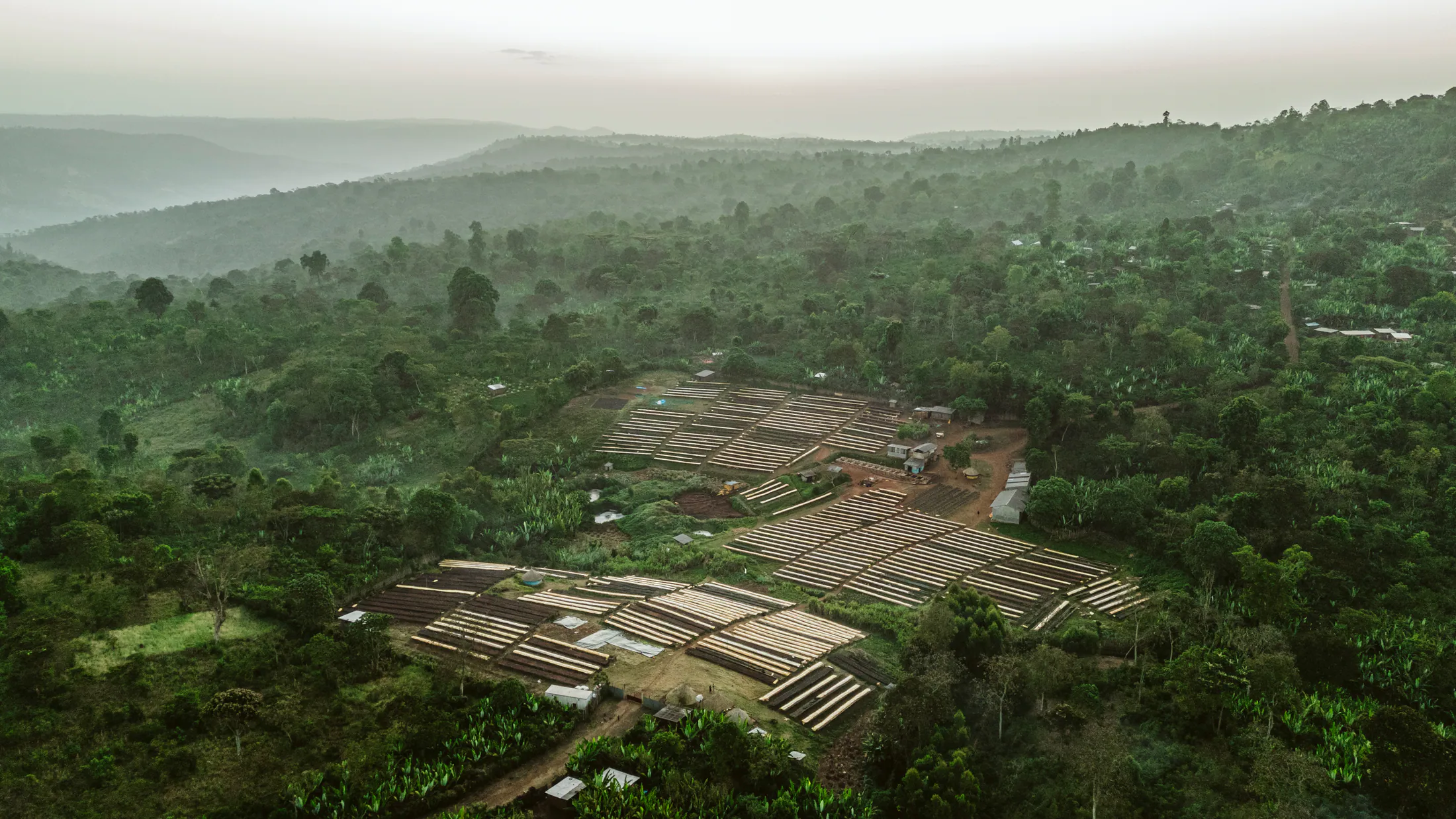Aerial view of the Guji highlands and coffee landscape