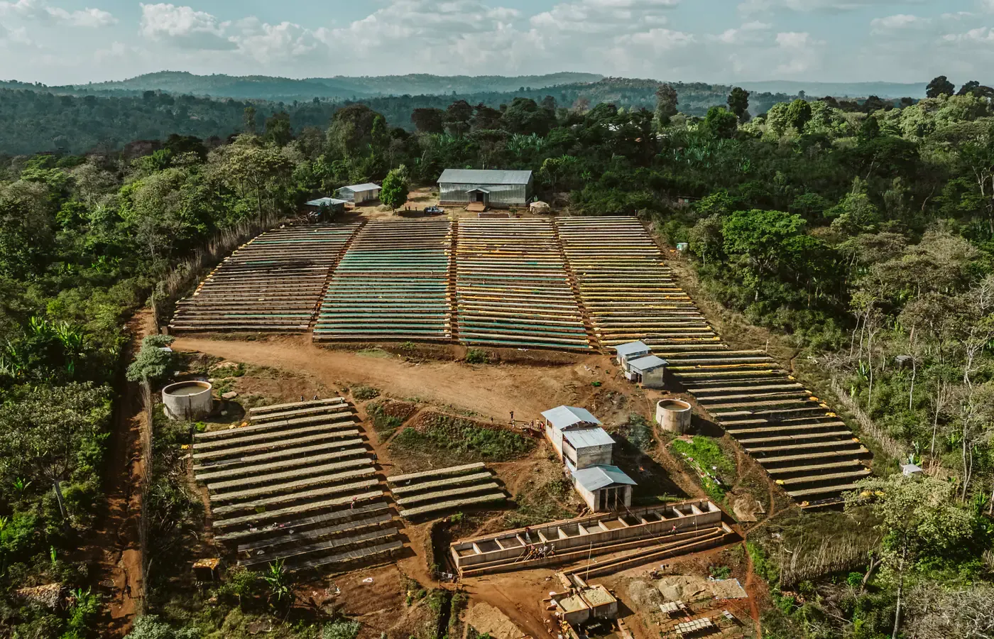Aerial view of coffee processing infrastructure in the Guji highlands