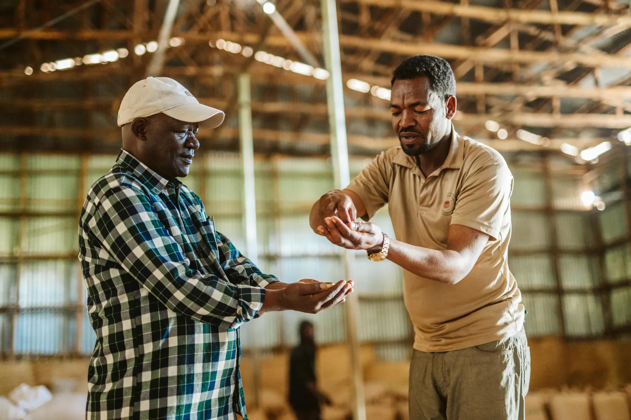 Coffee team reviewing green beans in a warehouse