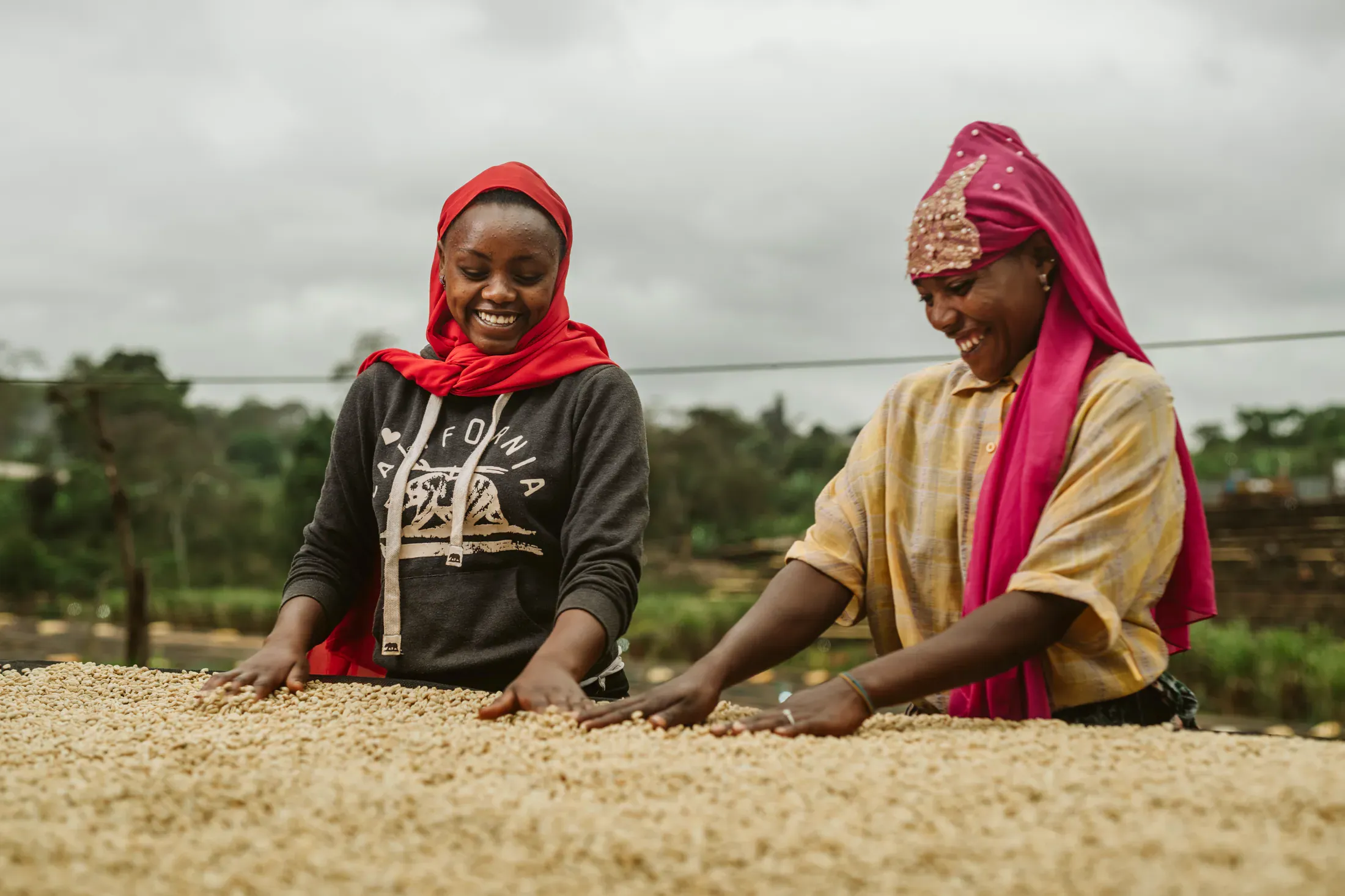 Coffee team reviewing prepared beans in a warehouse