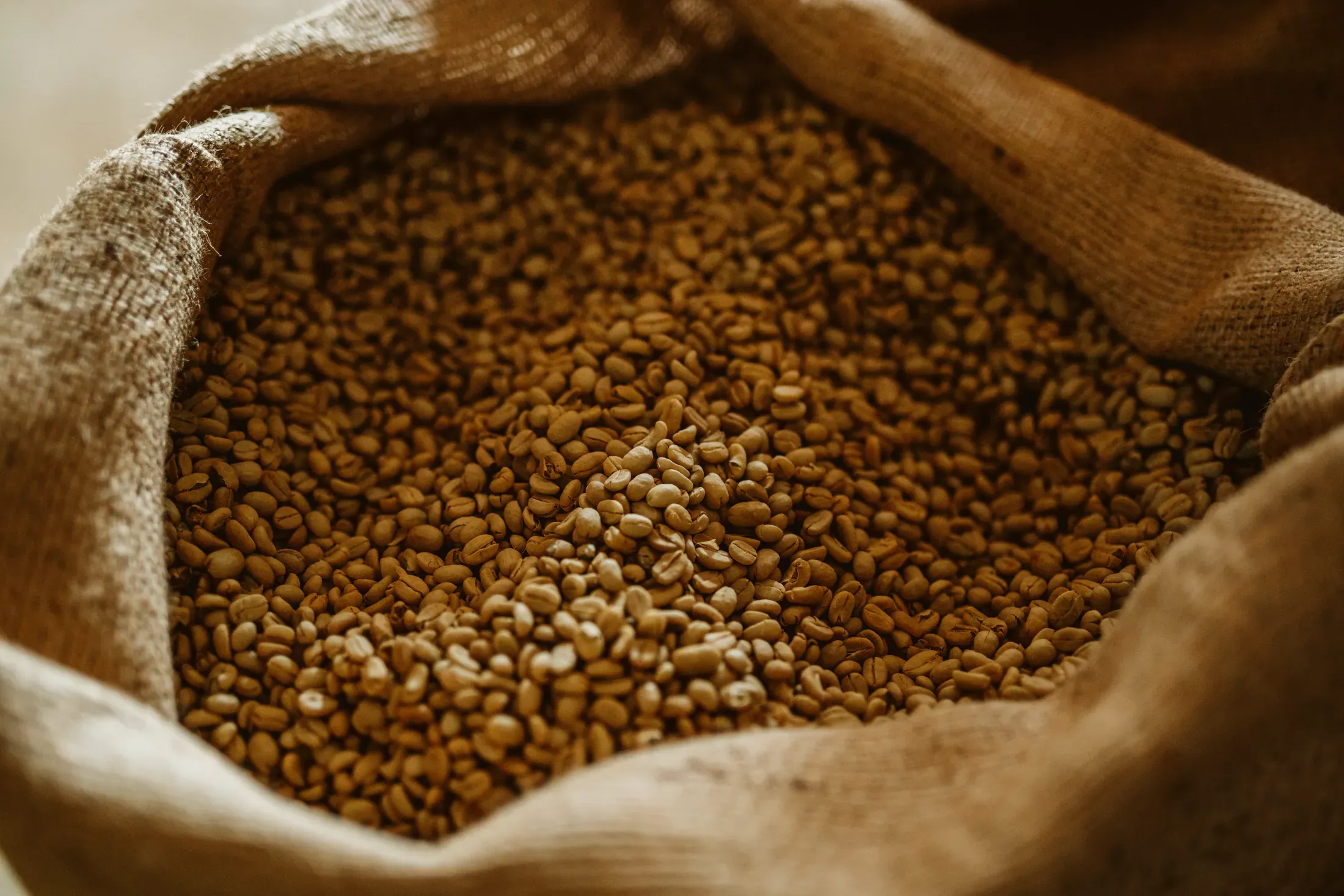 Prepared green coffee in a Sibu warehouse