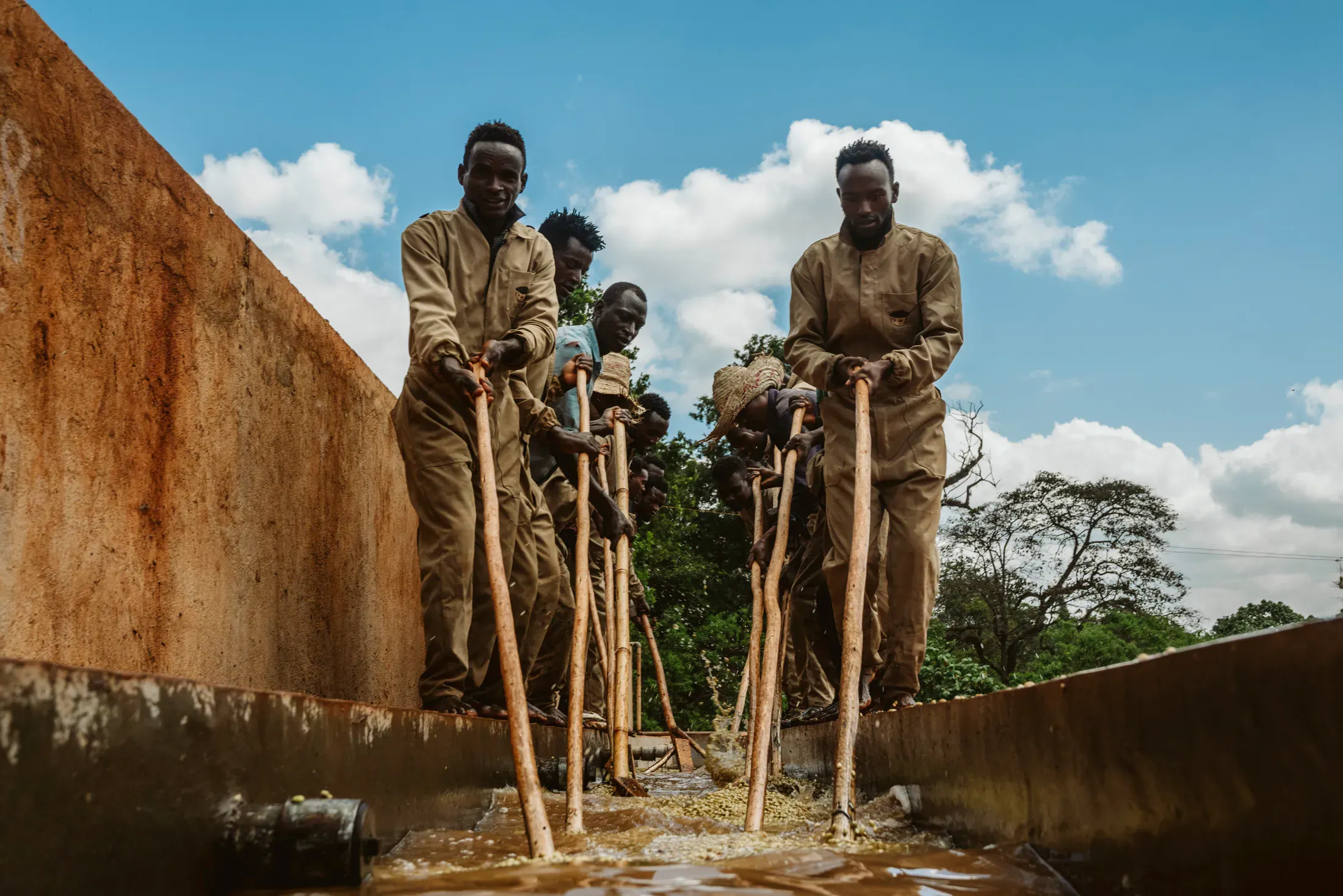 Coffee team working together at a washing station