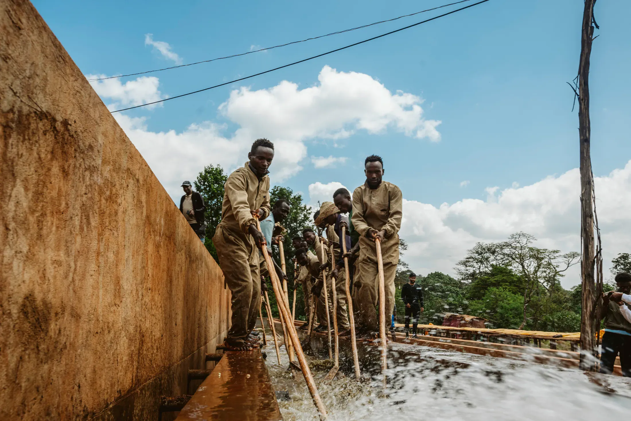 Coffee workers managing wet processing